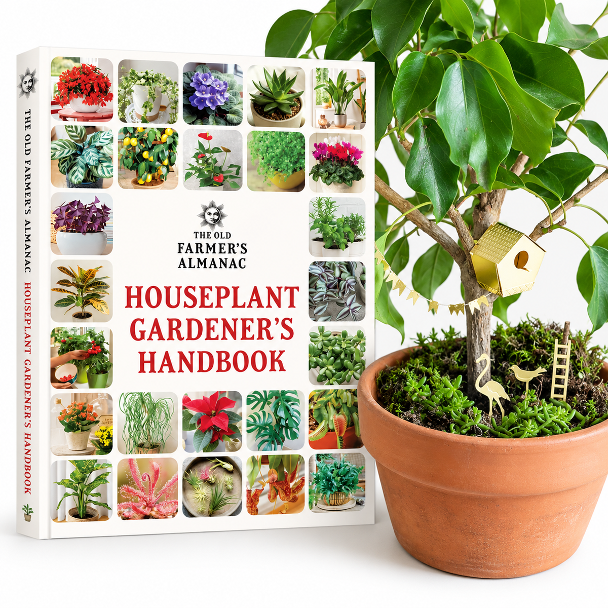 Houseplant Gardening Bundle