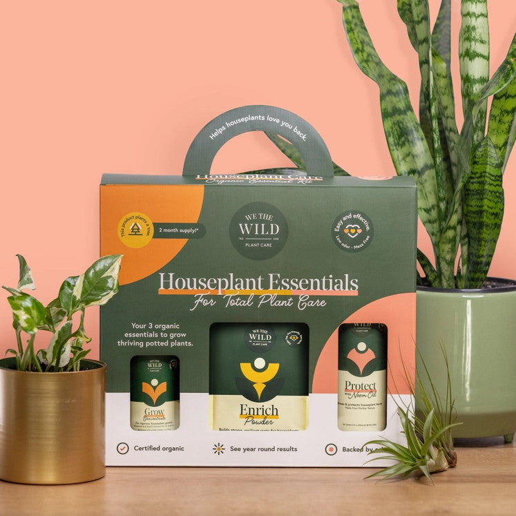The Houseplant Essentials Care Kit in its package alongside healthy houseplants