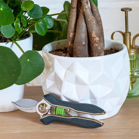 the houseplant pruner alongside a potted houseplant