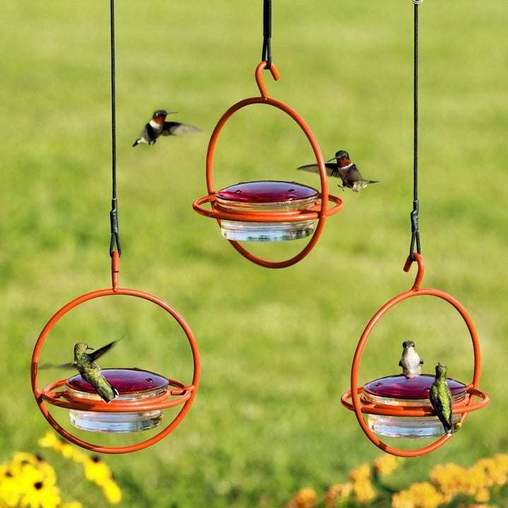 a trio of orange hummingbird feeders hanging near one another with five hummingbirds in flight around them