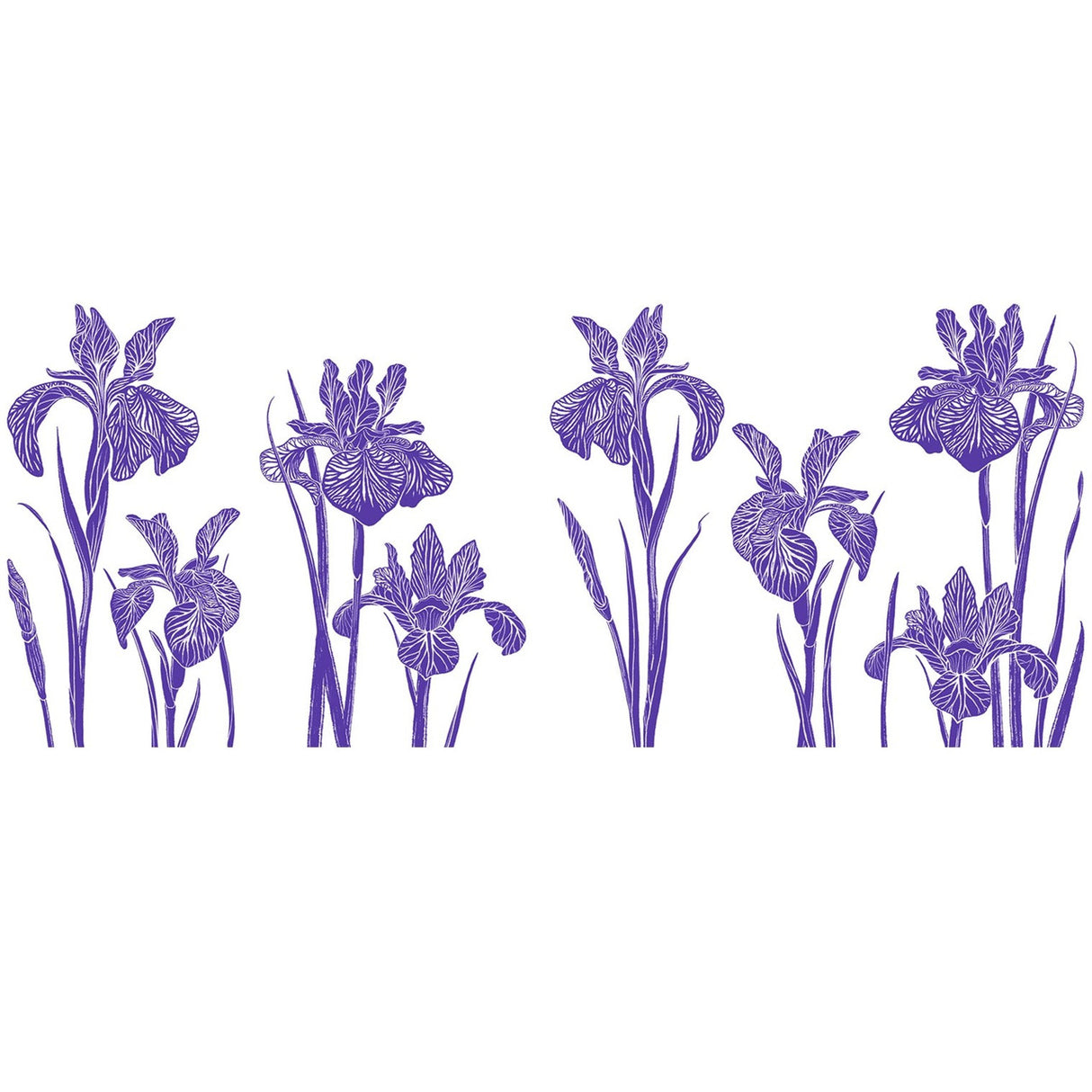 vintage inspired illustration of a purple iris flowers
