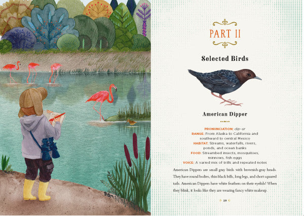 The Junior Birder's Handbook