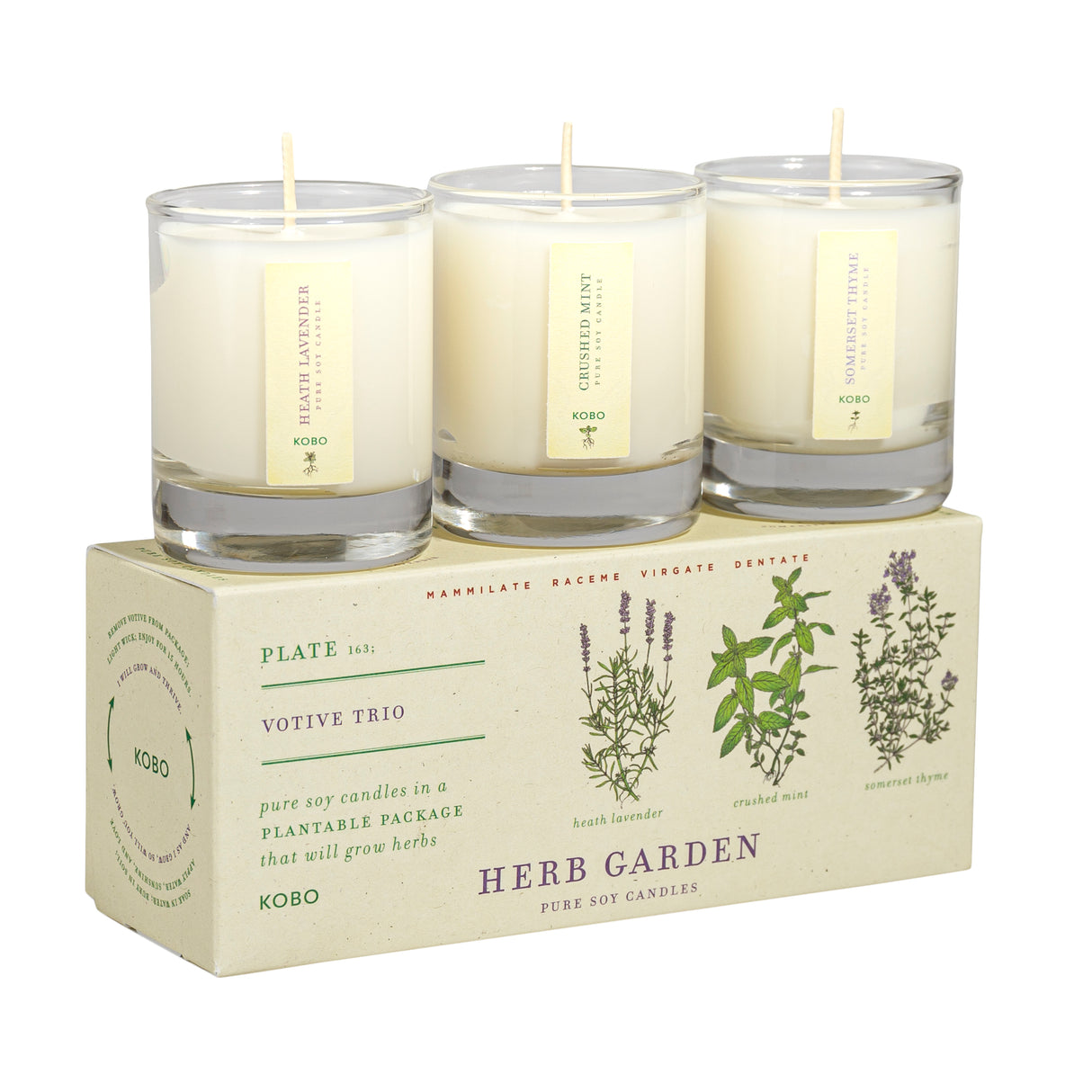 Three herb garden candles on a matching box with plant illustrations.