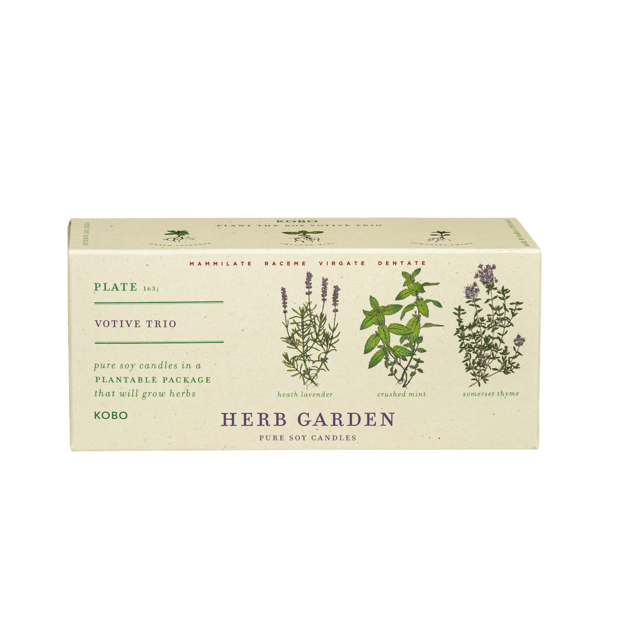 Box of Herb Garden candles with plant illustrations on a white background