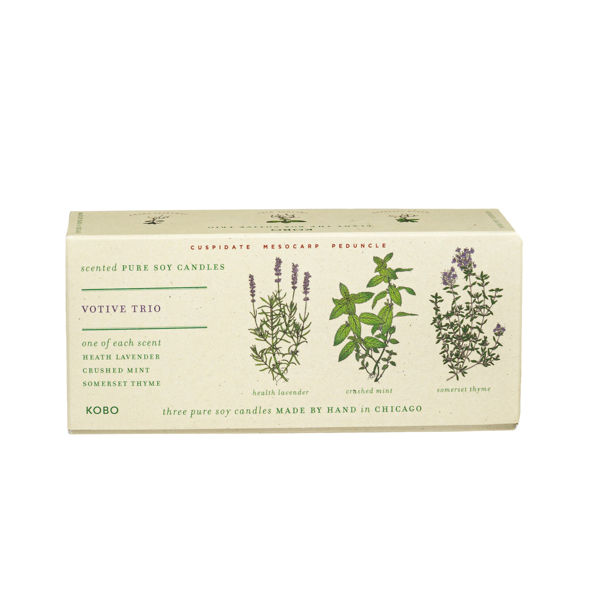 Box of Kobo votive candles with botanical illustrations on a white background