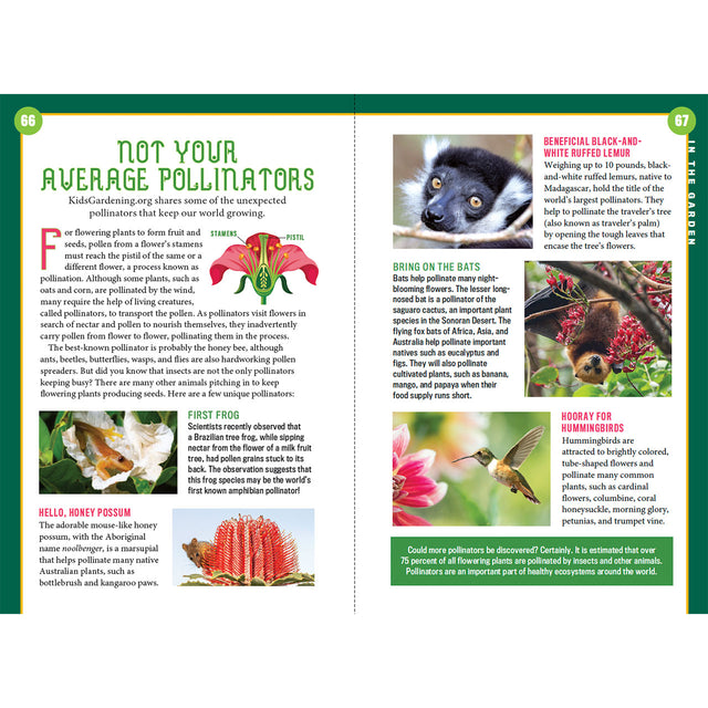 The Old Farmer's Almanac for Kids Volume 11