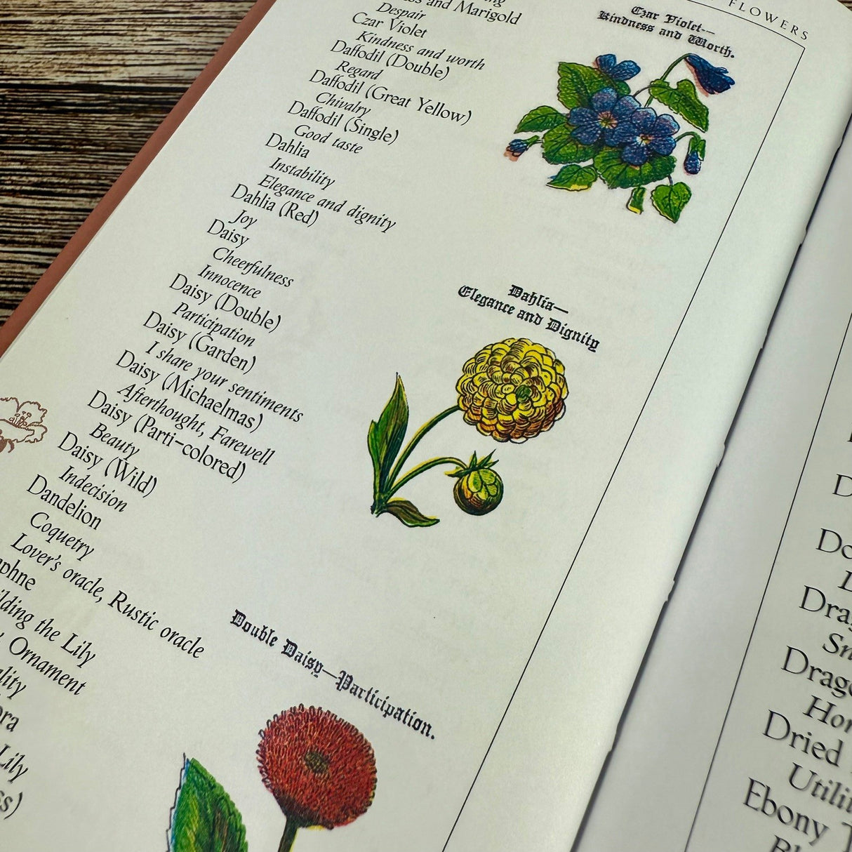Open book with illustrations of flowers and their names on a wooden surface