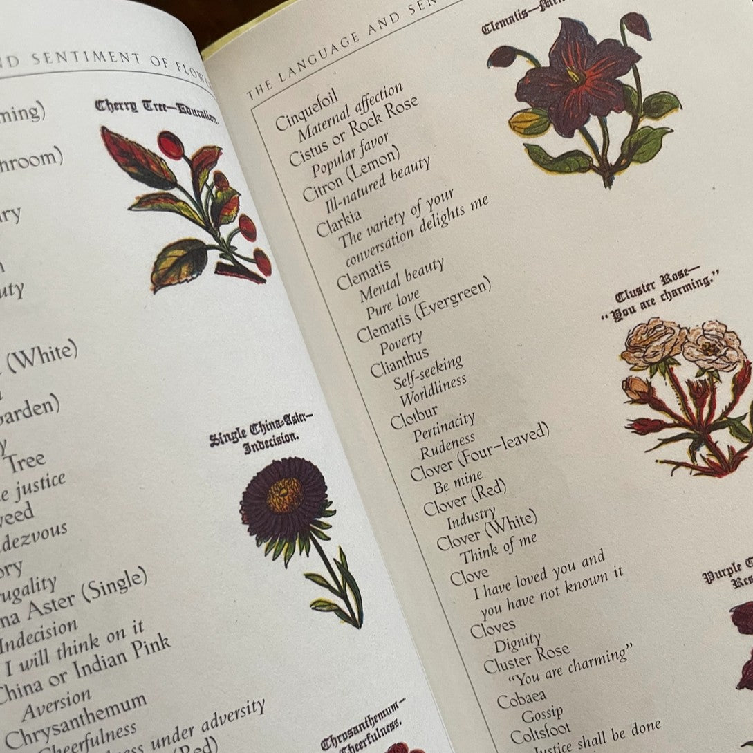 Open book with floral illustrations and text on a white background