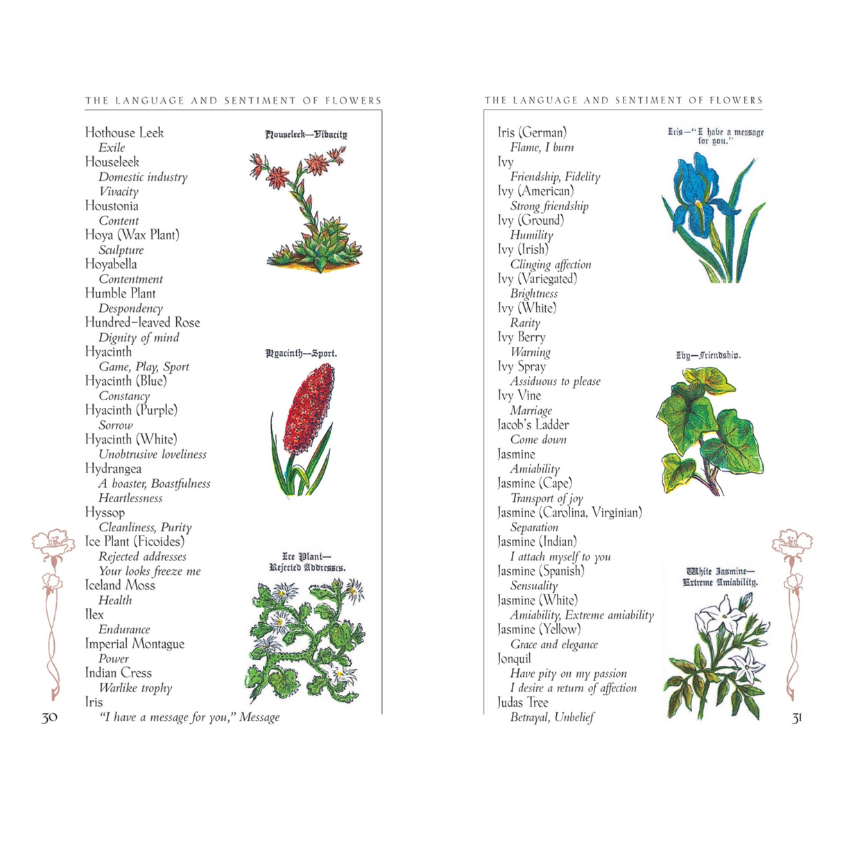 The Language and Sentiment of Flowers