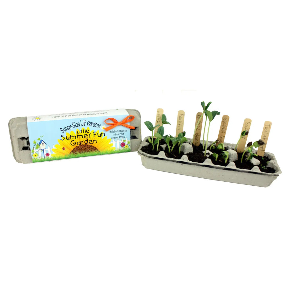 Little Summer Fun Garden Grow Kit