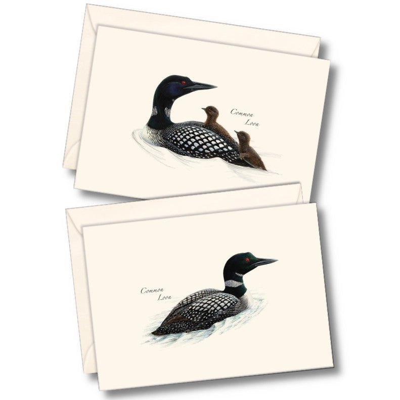 the two notecards in the Loon Notecard Assortment featuring two naturalist illustrations of the Common Loon
