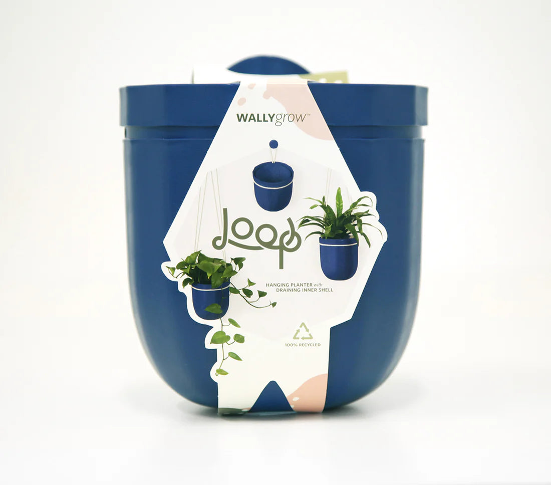 Loop Hanging Planter - 4 colors available