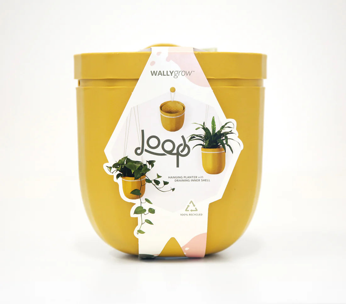 Loop Hanging Planter - 4 colors available