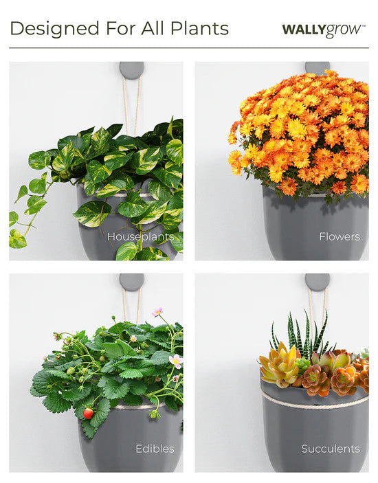 a graphic of 4 images of the loop planter each with different plants showing the planter's versatility: houseplants, flowers, edibles, and succulents