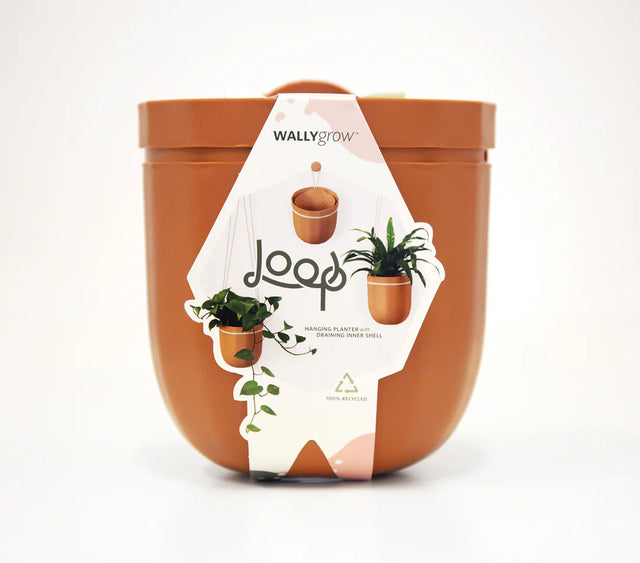 the terracotta loop planter in its package: a white modern label that reads "loop" with images of the planter with and without plants