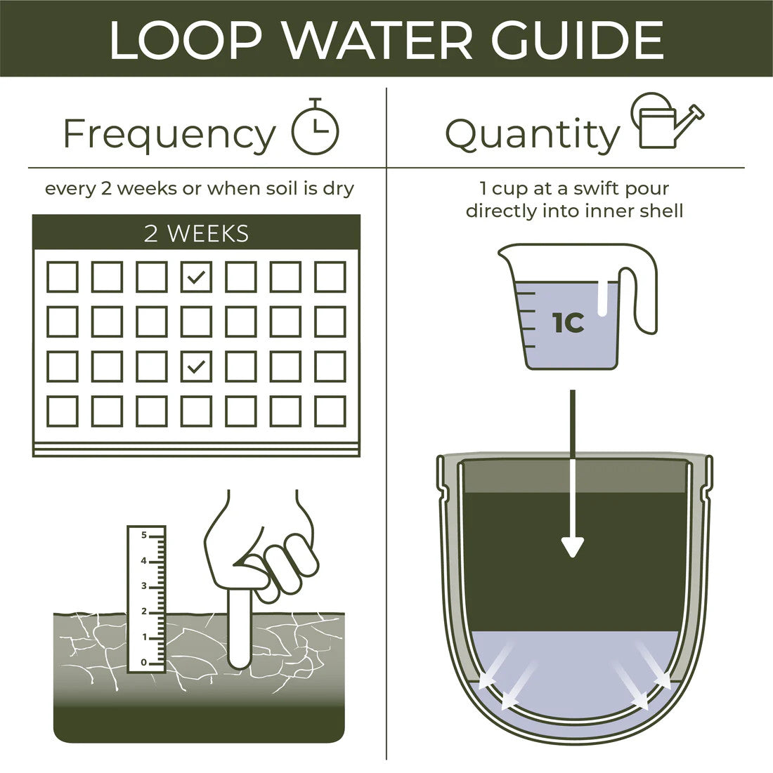 a dark green and gray infographic that shows watering instructions - to water every two weeks, and to pour 1 cup of water into the inner shell