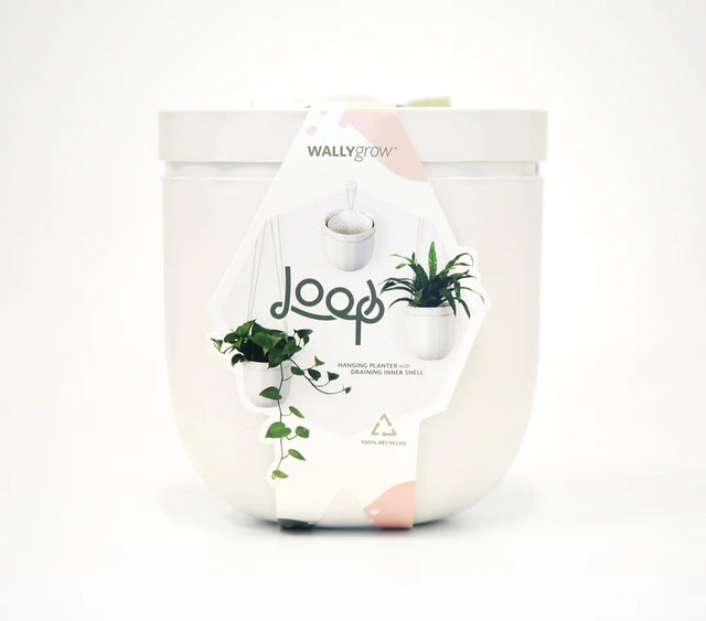 the white loop planter in its package: a white modern label that reads "loop" with images of the planter with and without plants