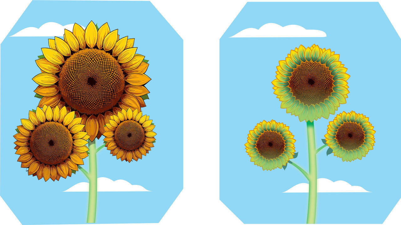 the full sunflower art that is featured on each side of the wind spinner