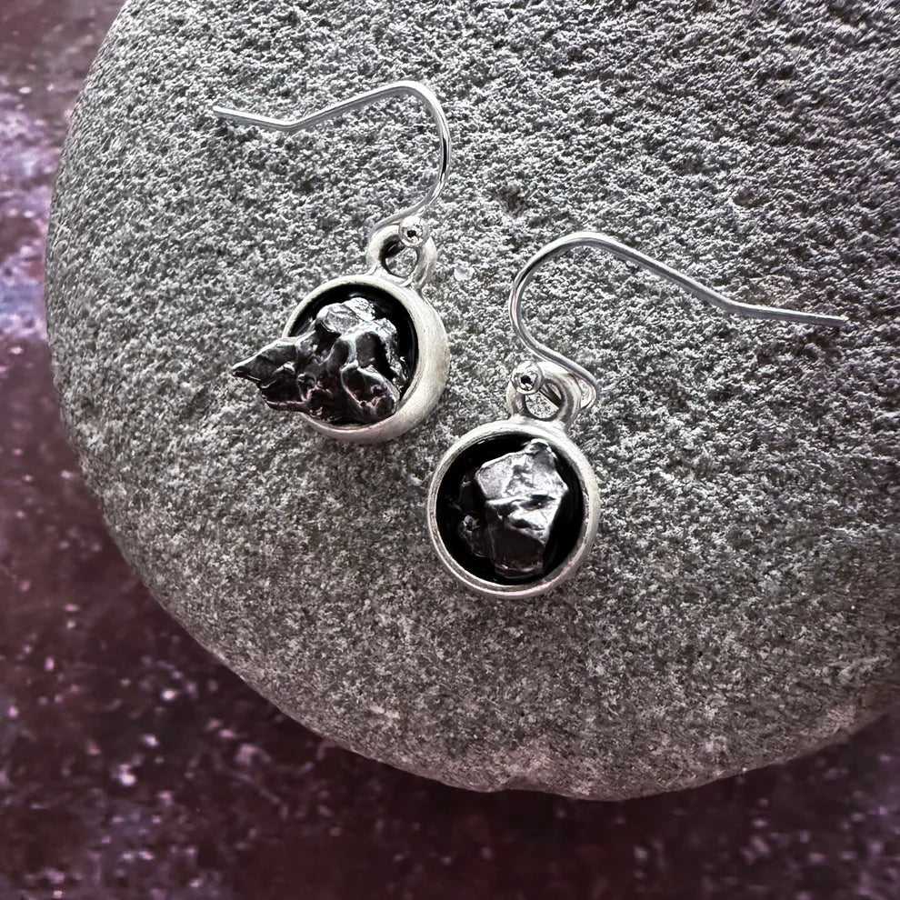 Meteorite Earrings