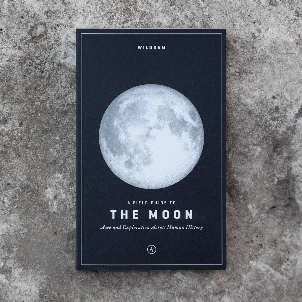 the moon guide on a gray concrete surface that somewhat resembles the lunar surface