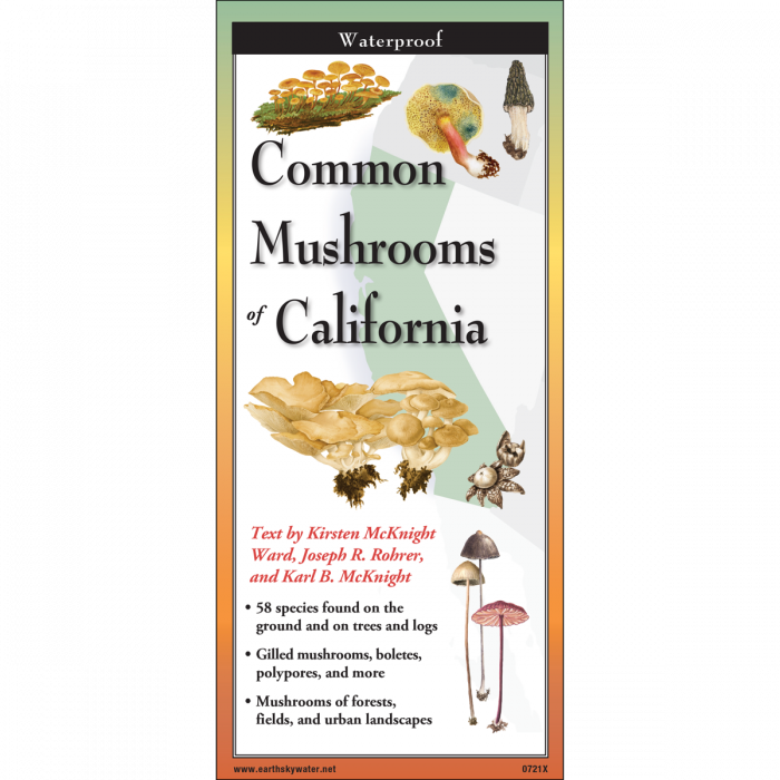 The cover image of Common Mushrooms of California folding guide featuring a selection of illustrations of mushrooms against a map of the California region.