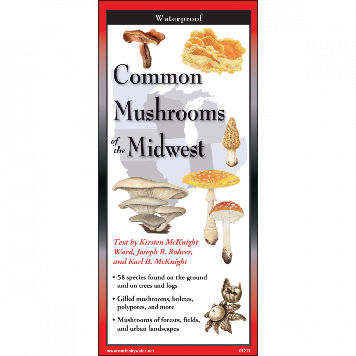 The cover image of Common Mushrooms of the Midwest folding guide featuring a selection of illustrations of mushrooms against a map of the California region.