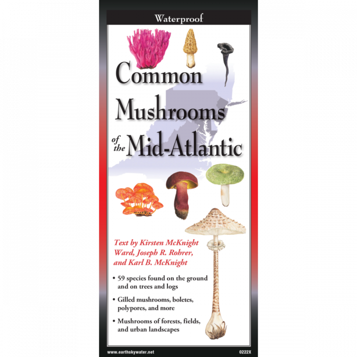 The cover image of Common Mushrooms of the Mid-Atlantic folding guide featuring a selection of illustrations of mushrooms against a map of the Mid-Atlantic US states