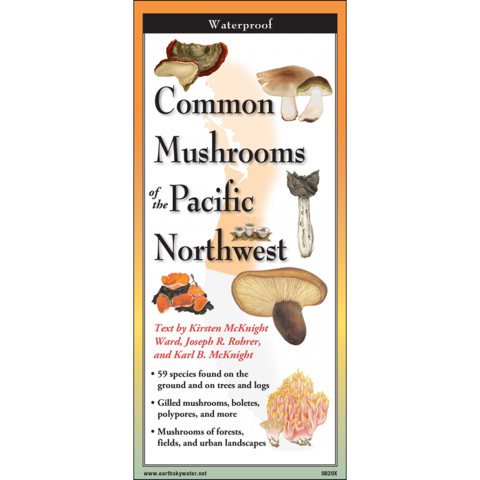 The cover image of Common Mushrooms of the Pacific Northwest folding guide featuring a selection of illustrations of mushrooms against a map of the Northwestern US states