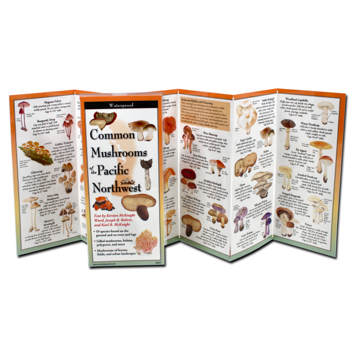 The Common Mushrooms of the Pacific Northwest folding guide unfolded and upright, accordion style, showing the contents of the guide, which has illustrations of mushrooms with printed information on mushrooms