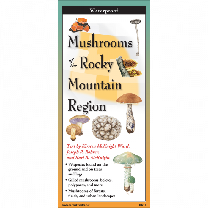 The cover image of Common Mushrooms of the Rocky Mountain Region folding guide featuring a selection of illustrations of mushrooms against a map of the Rocky Mountain Region.