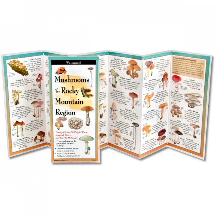 The Common Mushrooms of the Rocky Mountain Region folding guide unfolded and upright, accordion style, showing the contents of the guide, which has illustrations of mushrooms with printed information on mushrooms