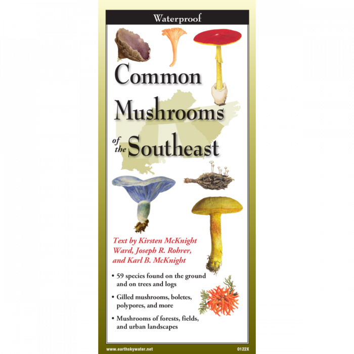 The cover image of Common Mushrooms of the Southeast folding guide featuring a selection of illustrations of mushrooms against a map of the Southeastern  US states