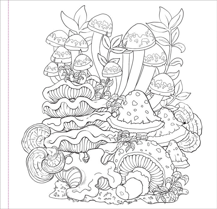 Mushrooms Coloring Book