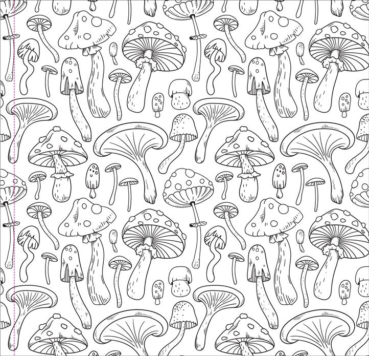 Mushrooms Coloring Book