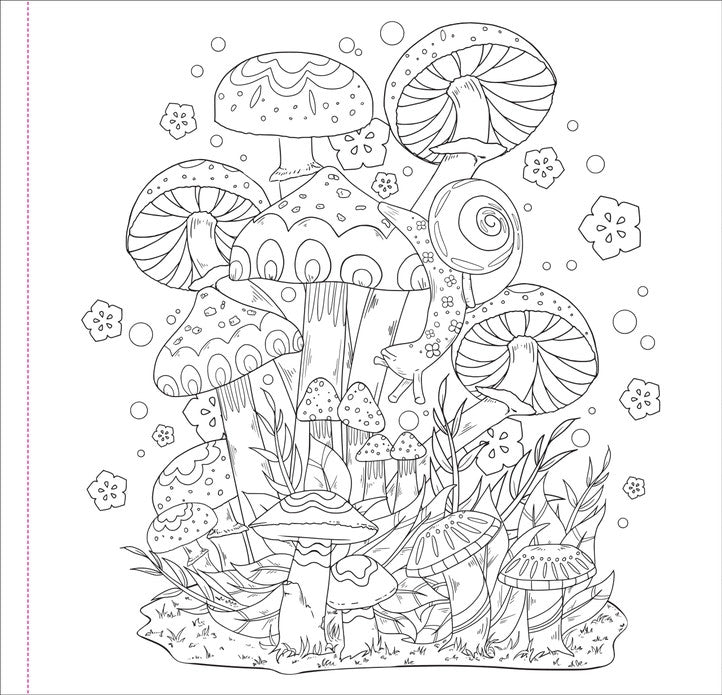 Mushrooms Coloring Book