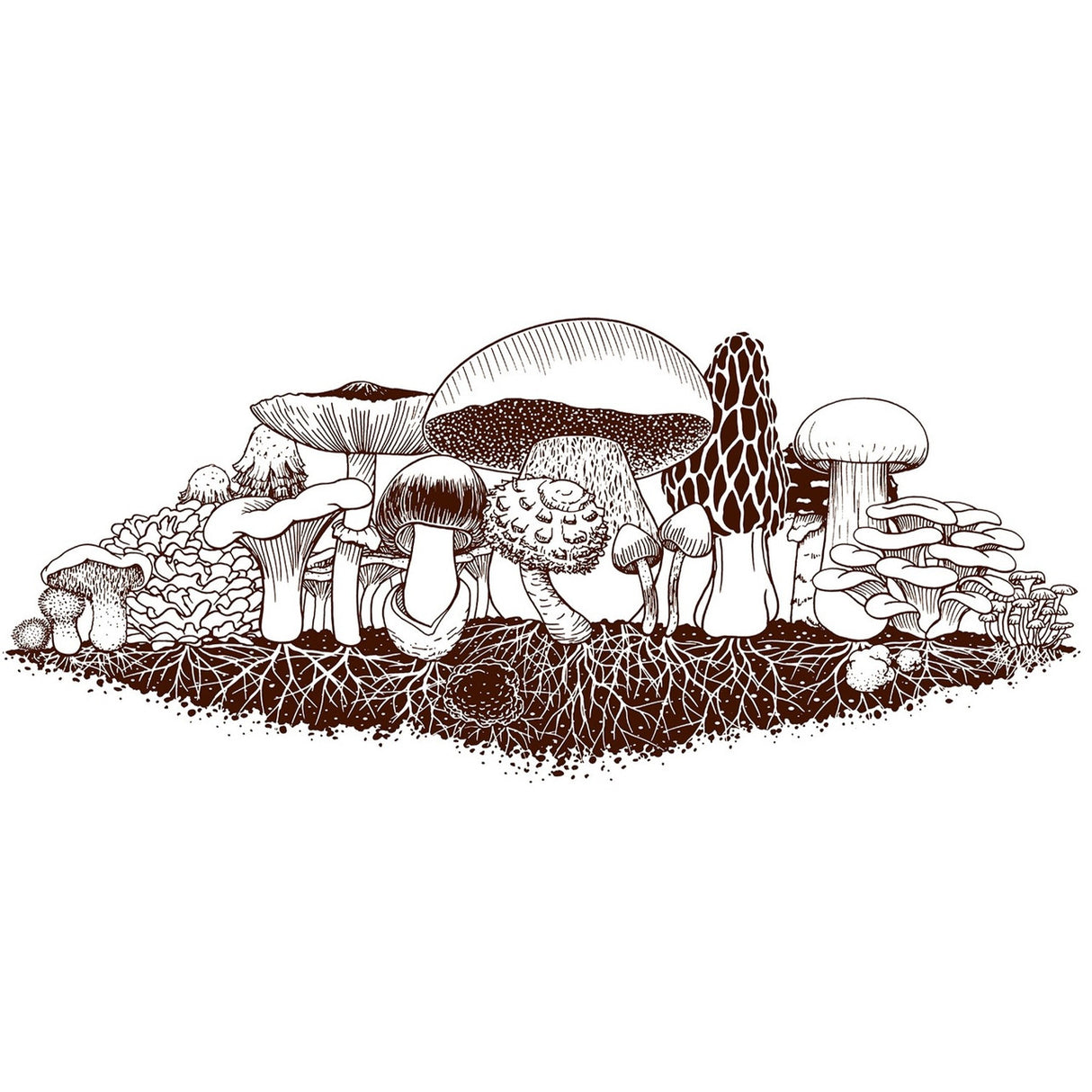 vintage inspired illustration of a field of various mushooms in brown