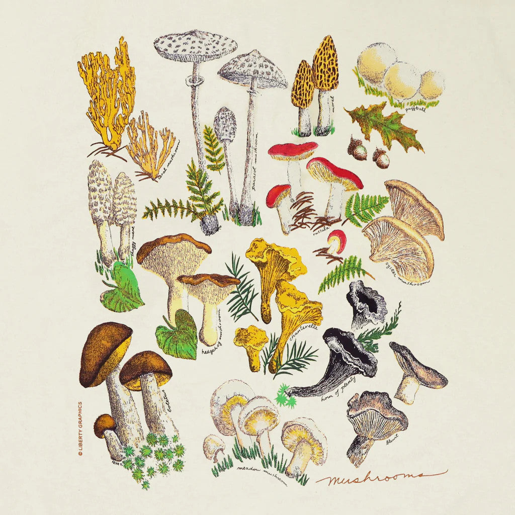 close up view of the illustrations of various woodland mushrooms