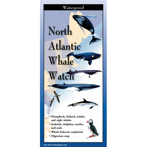 Cover image of the North Atlantic Whale Watch folding guide with illustrations of whales and common sea birds in profile against a map of coastal New England.
