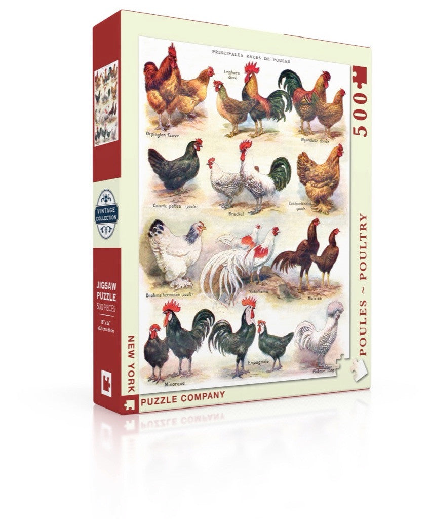 Poultry ~ Poules Jigsaw Puzzle 500 Piece