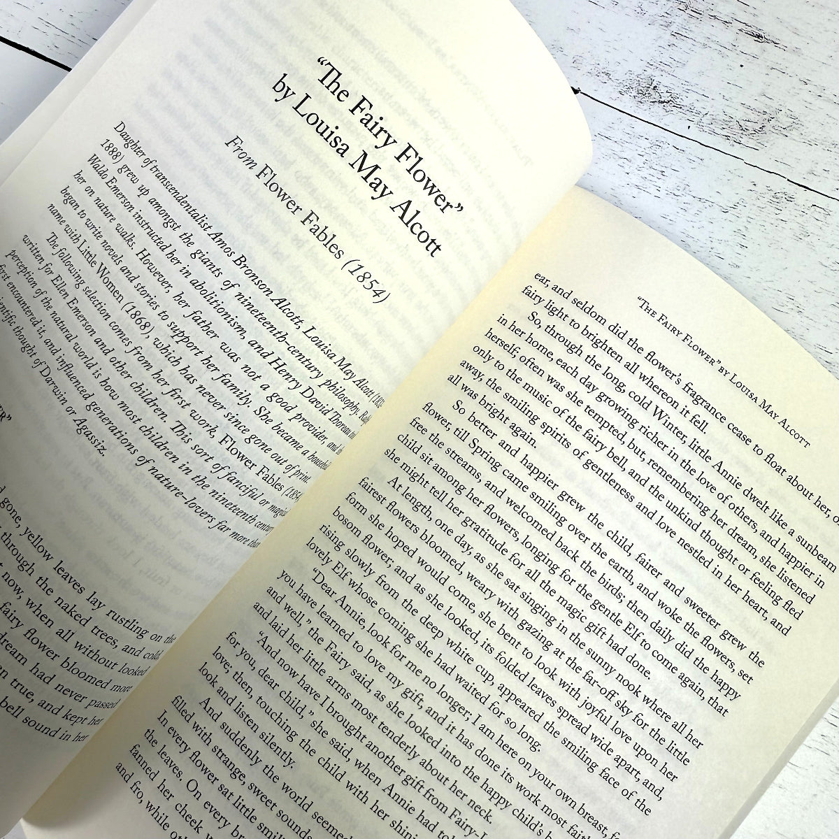 close up of title page for "The Fairy Flower" by Louisa May Alcott