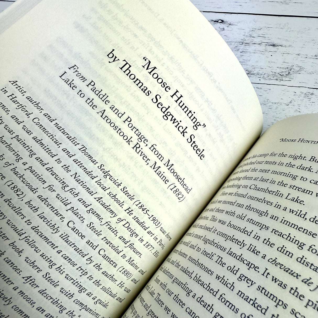 close up of the title page for "Moose Hunting" by Thomas Sedgwick Steele