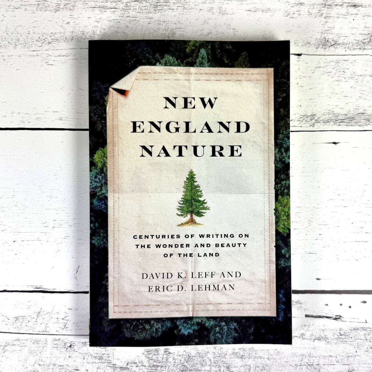 the book "New England Nature" on a rustic white wood background