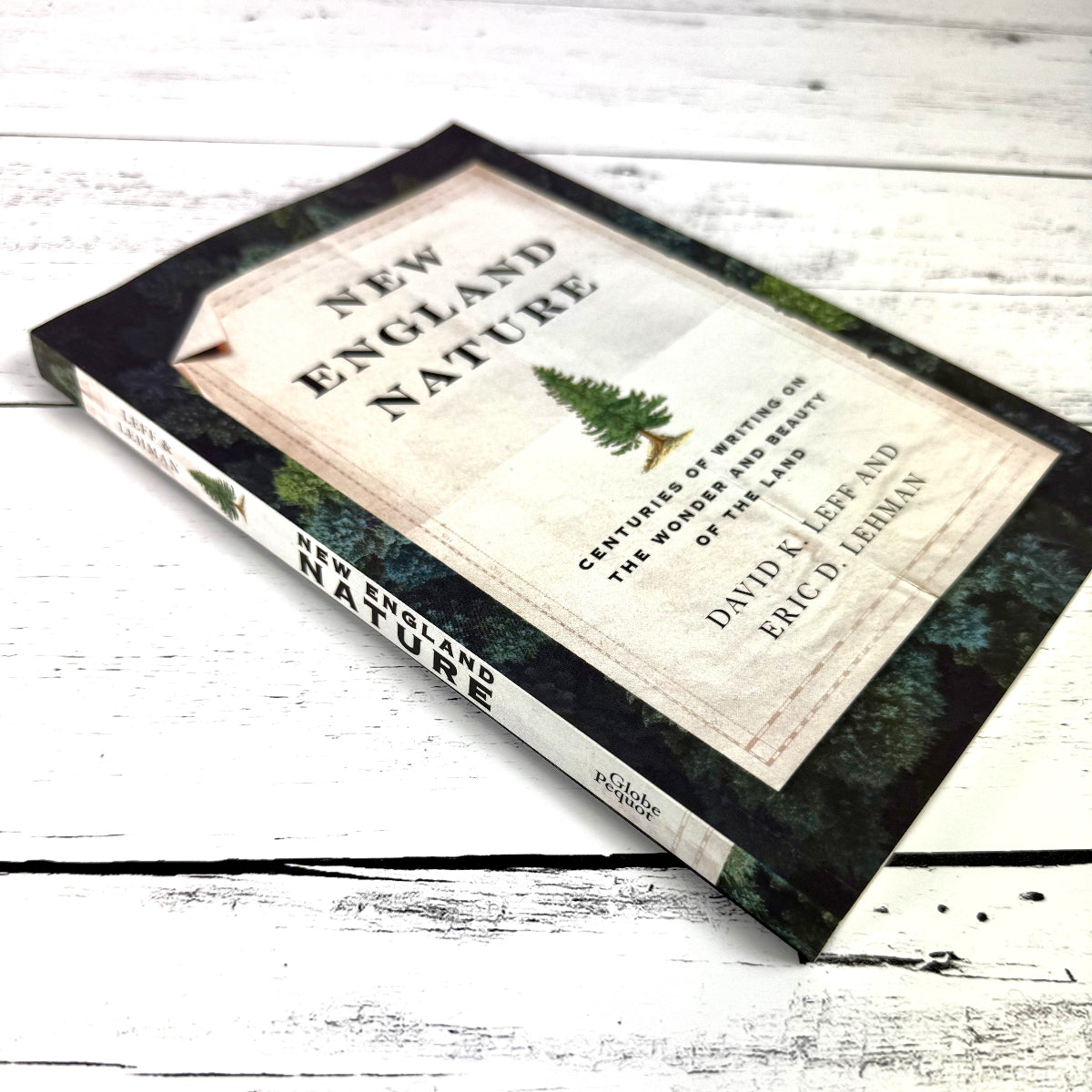 an above view/side angle of New England Nature showing the spine of the book