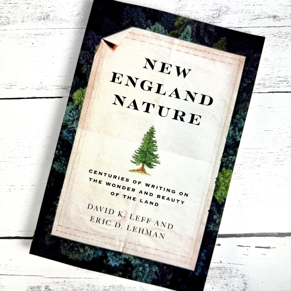 the book "New England Nature" lying on an angle against a rustic white wood background
