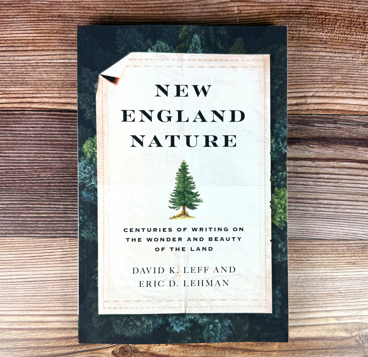 the book "New England Nature" lying against a rustic wood background