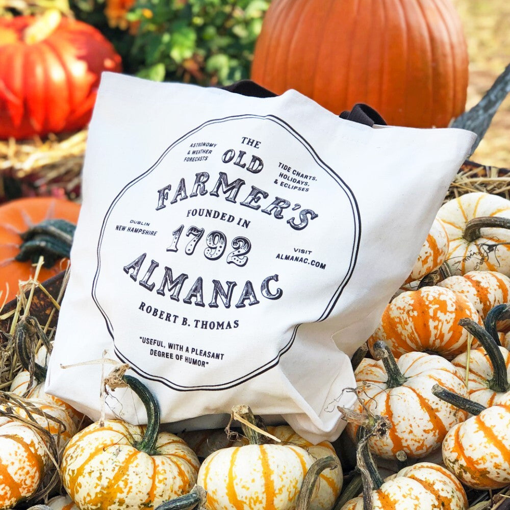 on a pile of colorful pumpkins and gourds sits the canvas tote bag with the "almanac" graphic facing forward