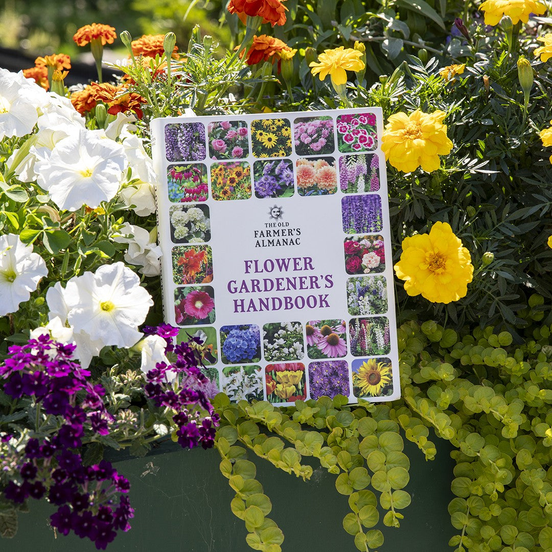 Flower Gardener's Handbook by The Old Farmer's Almanac surrounded by colorful flowers
