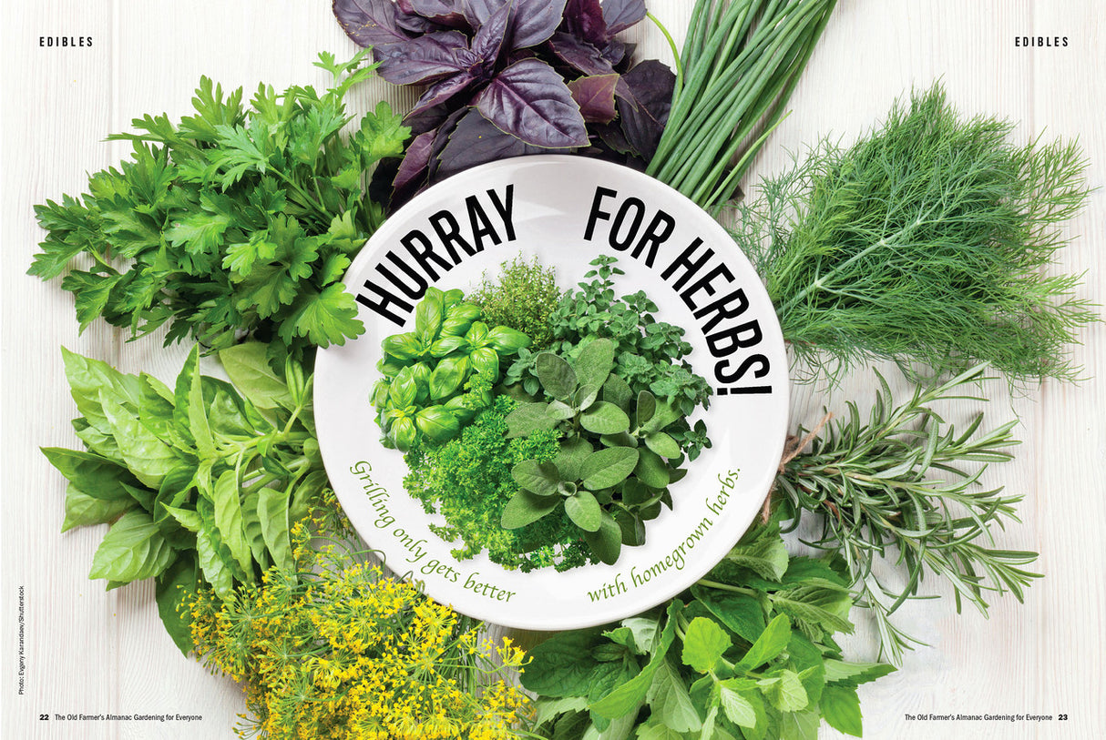 Gardening for Everyone - Volume 1