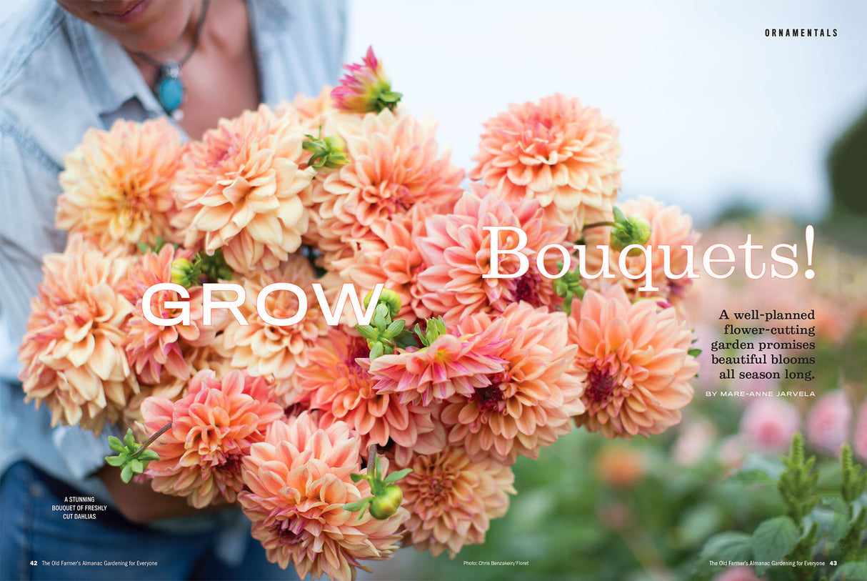 Gardening for Everyone - Volume 1