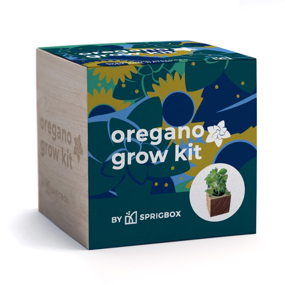 A square product box for an oregano grow kit by Sprigbox, shown on a clean white background. The box features a dark teal front with abstract botanical illustrations in blue, yellow, and green, white text reading 'oregano grow kit,' and a small circular photo of a potted oregano plant.
